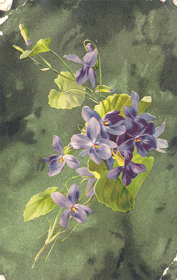 Postcard 012-108 front