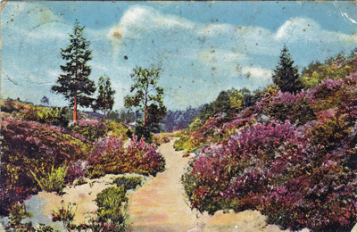 Postcard 018-87 front