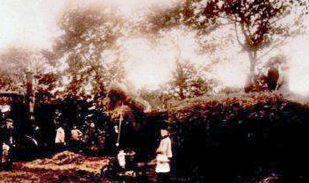 farm