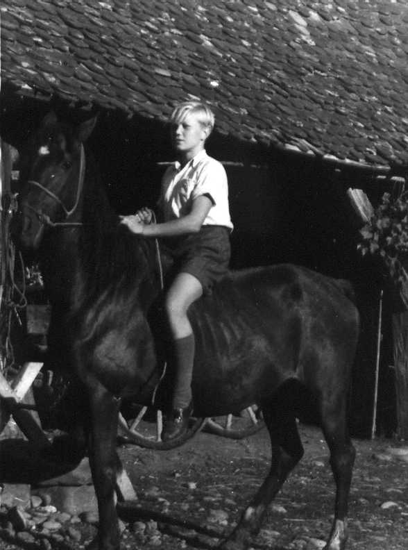 Walter in Hungary