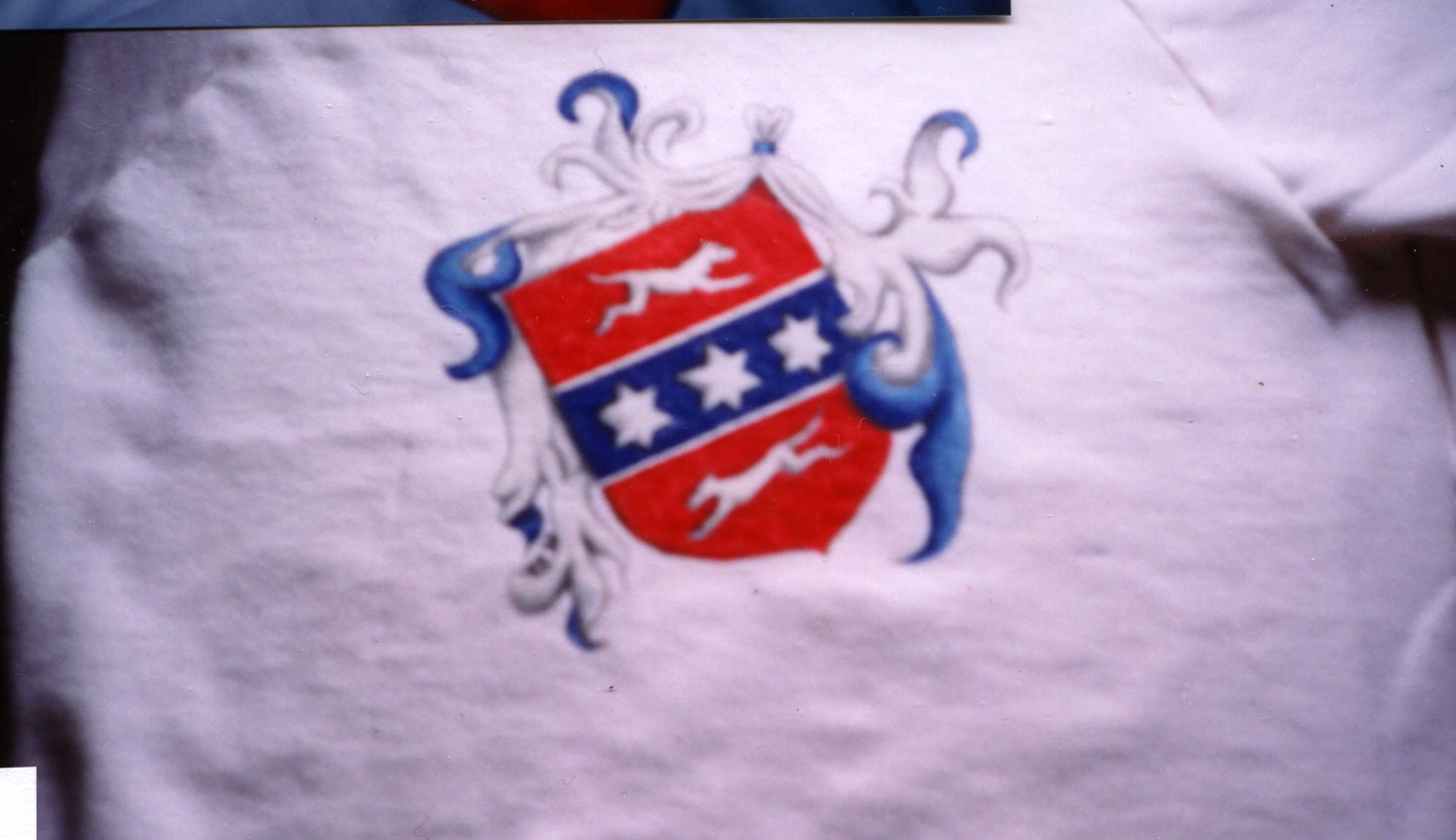 Fabric Painting